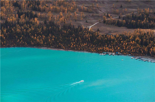 #喀纳斯湖#喀纳斯湖不明生物:长15米重32吨,当地老者:不是水怪,那是湖圣