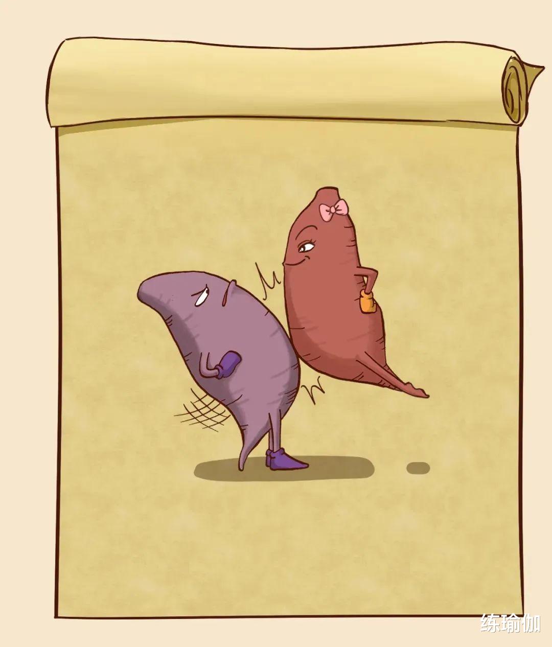 [降压药]公认最不“长肉”的主食, 红薯上榜