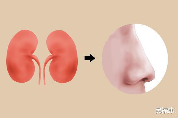 『』鼻毛变白,说明了什么?暗示身体早衰了?还是肾不好?