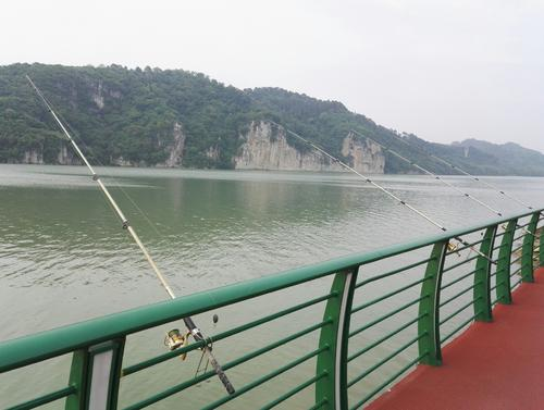 瑞虎8|最近迷上钓鱼，只是个新手，一直在野河里钓，怎么才能钓大鱼呢？