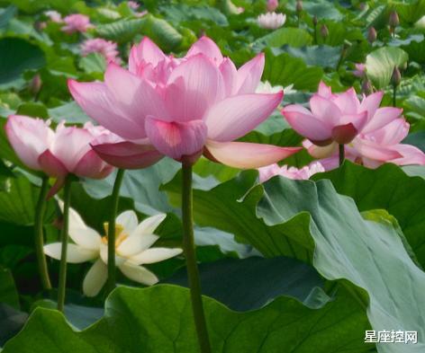 |哪些日子出生的人，9月起，职场之路变顺利，有贵人暗中相助！