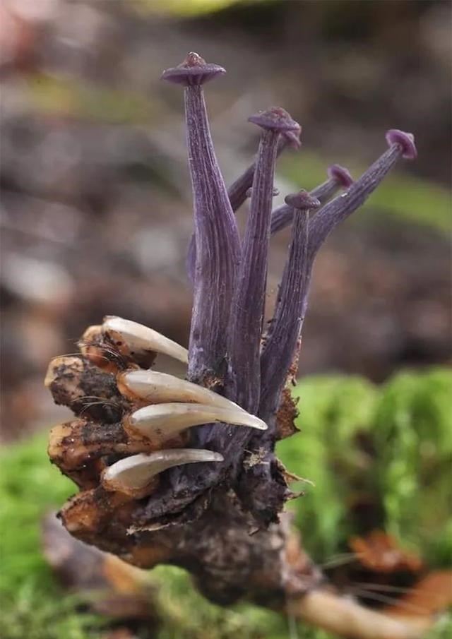 「」一组让你大开眼界的自然场景，最后那张图是不是骗到你了？