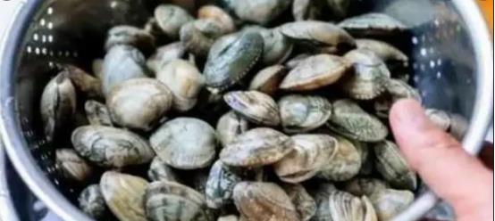 |洗花蛤万万不可只加盐，渔民：教你土方法，花蛤疯狂吐沙，很实用