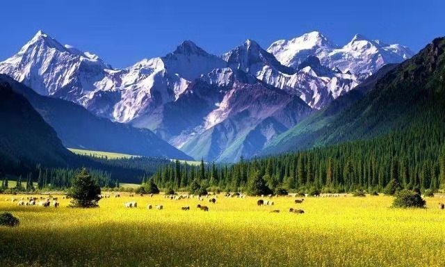 乌孙@天上的天山-走过乌孙