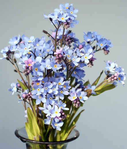 「生肖」5月中旬,4属相吉星进门,接住好运,福气深厚,运势上上签