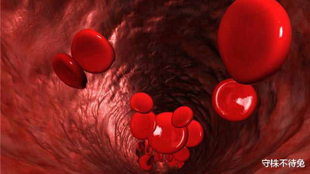 电离辐射|21个冷知识：几乎不会接触，但真实存在于世界的有趣事实