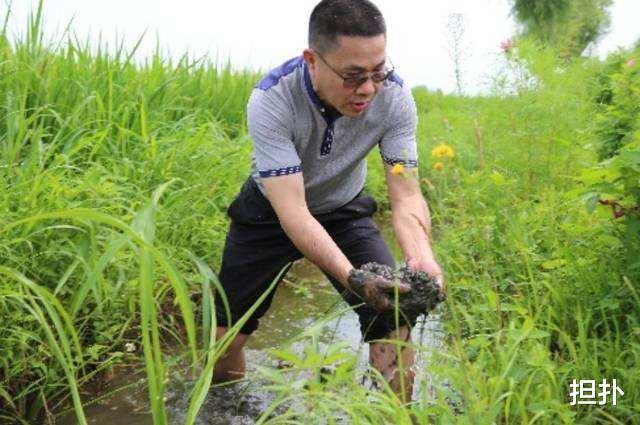 富豪过年拿出2个亿盖别墅，免费送给村民，结果却一套也送不出去