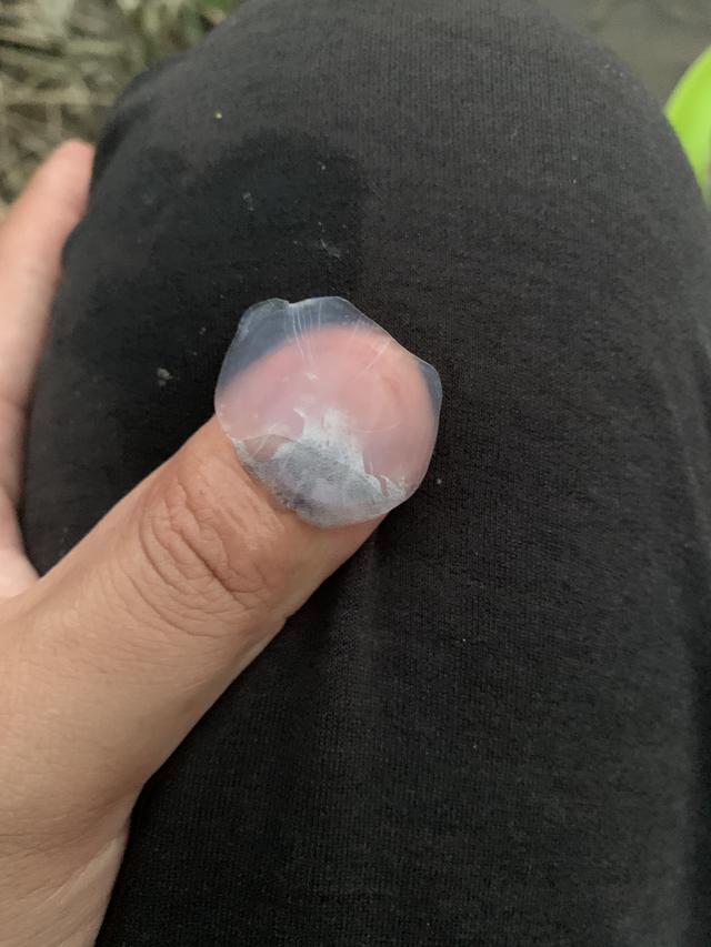 月亮|野钓日记 | 十四的月亮比十五圆，接着月光野钓收大礼！