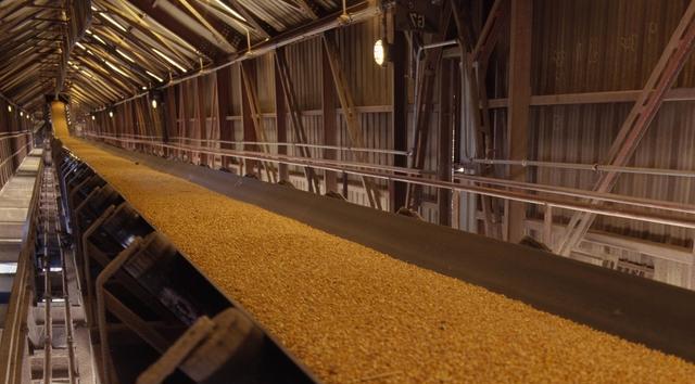 「拍卖」临储拍卖落空、高速收费，玉米价格再上涨，农民高兴吗？