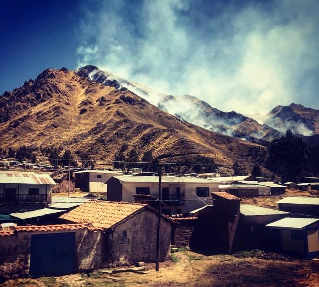 野火难烧尽，火后砍伐树木对森林会有什么影响？