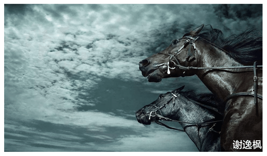 谢逸枫：谁是中国房企最大地主？