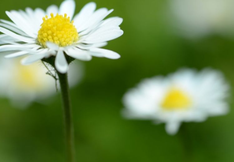 生肖|十月中旬开始，有贵人相助，吉星照耀，大奖连中的生肖