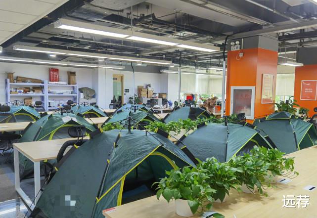 远荐|某公司在办公室支帐篷呼吁多加班！网友：不是帐篷，是坟头！