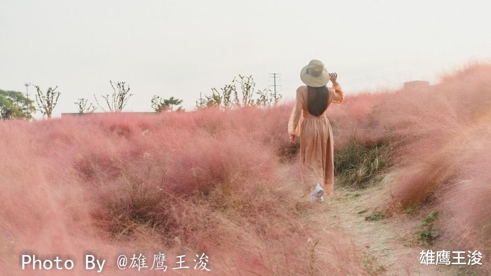 胡杨林|无锡最接近“仙境”的地方，无法抗拒的浪漫，看看你去了吗？