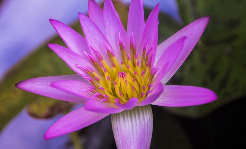 旧爱|31日,走狗屎运,翻身赚大钱,贵人帮衬,事业欣欣向荣的生肖