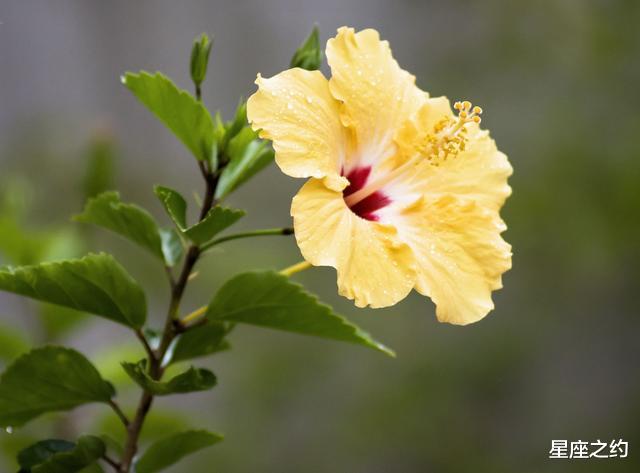 「白羊座」从7月份开始,余情未了,迷途知返,风雨同舟的三大星座