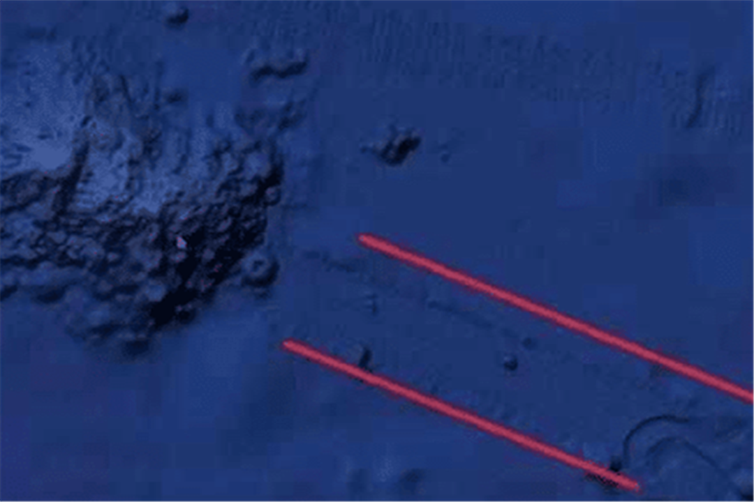 太平洋|太平洋海底出现奇怪物体，面积约600平方米，似乎在缓慢移动？