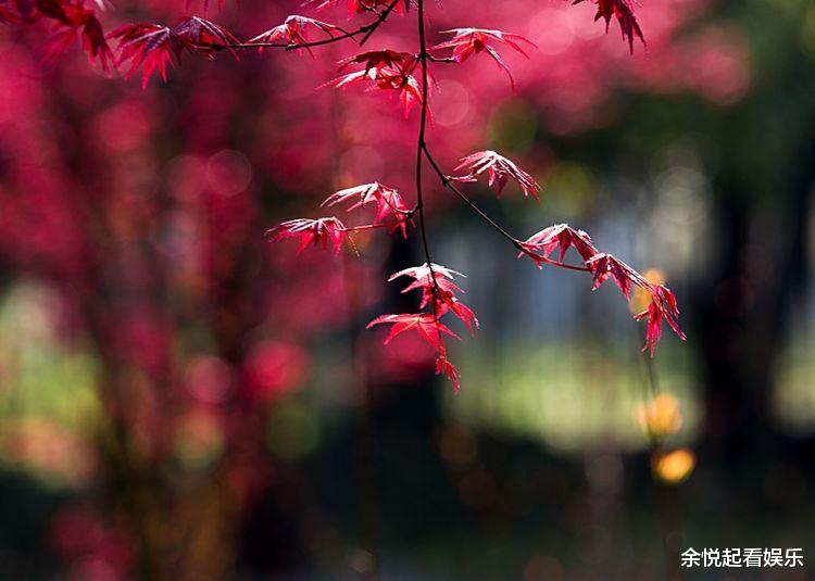 运势▲3月下旬得吉星庇佑，运势进入上升阶段，财发不停的四属相