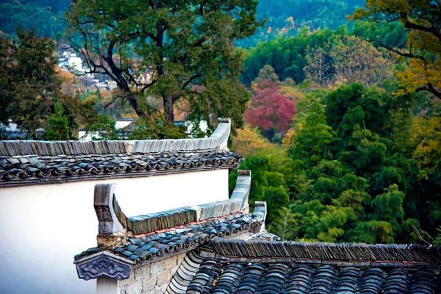 香山|秋色不输婺源，颜值美过香山，这座小村庄一到秋天就美成仙境