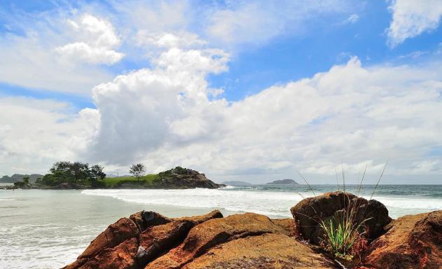 生肖|9月下旬，好运找上门，4生肖得高人指点，事业丰收，财如雨下