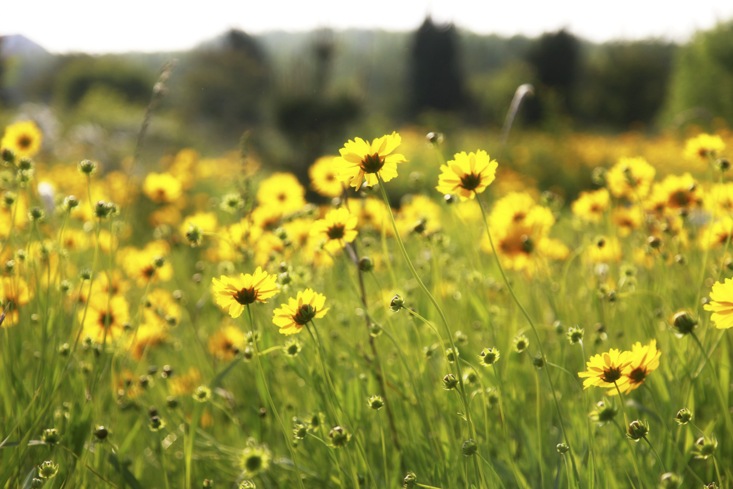 #威海#中国最适合“全家游”的3座城市,沐海风,吃海鲜,最美度假天堂