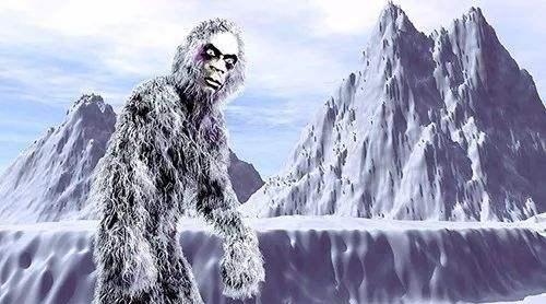 老虎@喜马拉雅发现“雪人”遗物，经高科技检查，生物学家给出意外答案