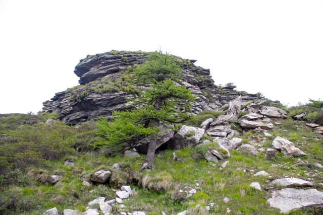 「秦岭」寻访秦岭光头山：又险又好看！自驾不让上？爬也要爬上去打一次卡