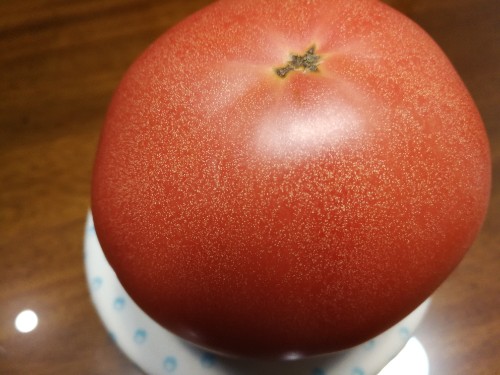 [西红柿]买西红柿就挑“母”的，沙甜又多汁，学会这4招，一挑一个准