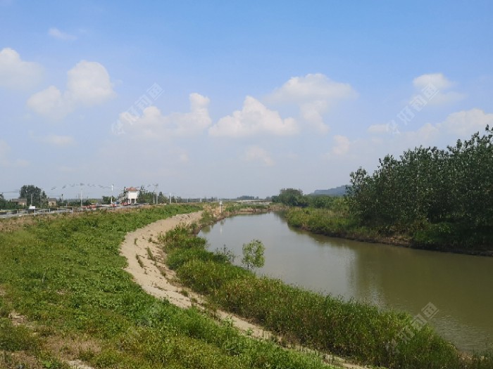 鲫鱼|许久没钓鱼，一钓就上瘾