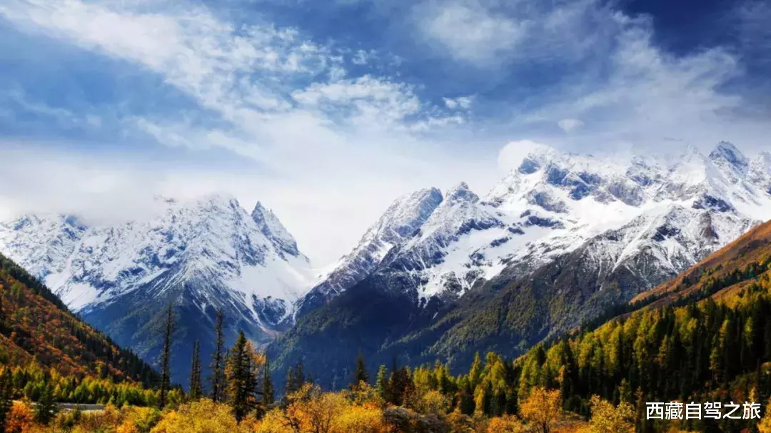 川西|深秋酝酿的五彩斑斓，全在川西晕染开了！
