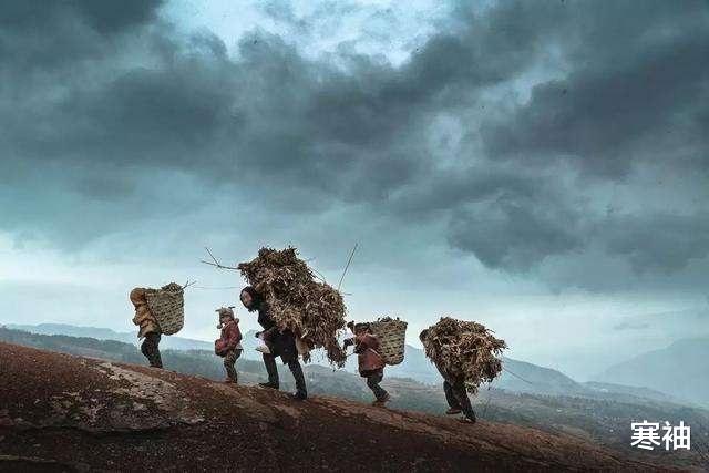 寒袖|失心疯！大凉山村民毒杀大熊猫卖4000块, 仅剩1只大熊猫何去何从？