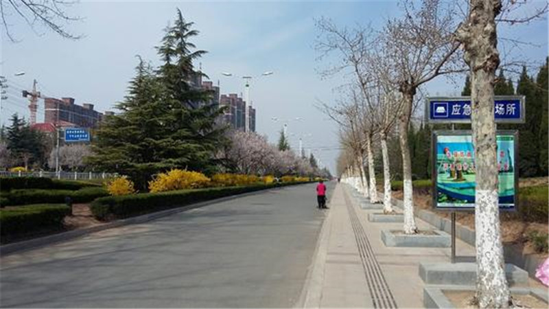 山东又一“空城”诞生，房子卖出“白菜价”，3万一套却无人问津