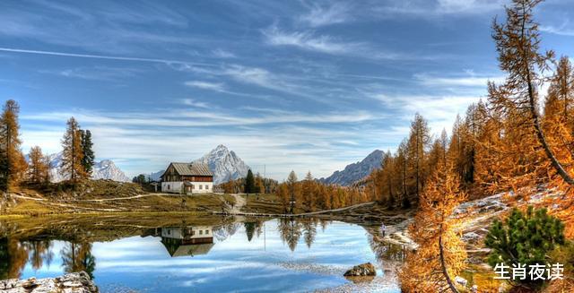 生肖|11月,可期可盼,烦心事烟消云散,3生肖爱情逐渐步入正轨,旧情复燃