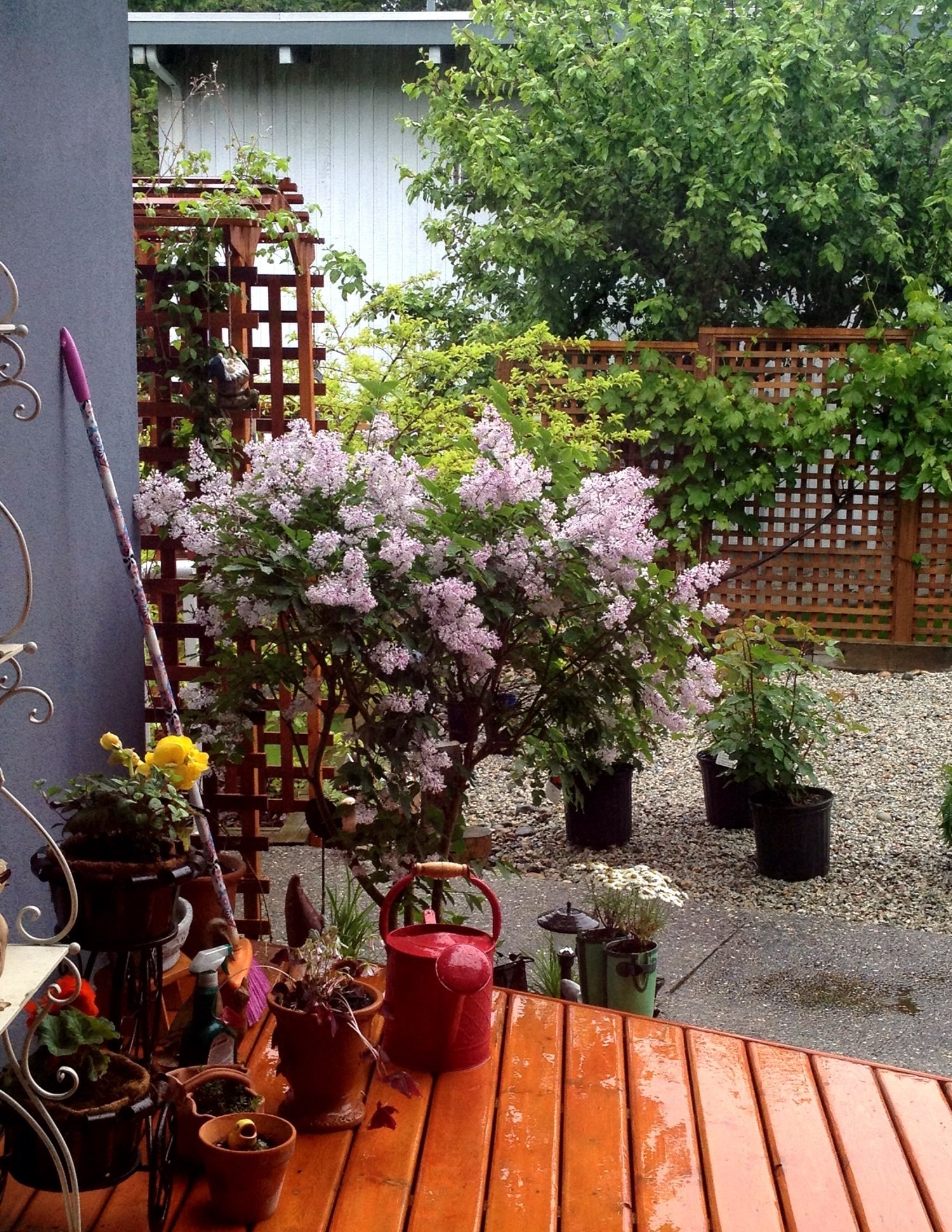 |13个迷你“庭院花园”设计案例，小面积院子，也能让人百看不厌