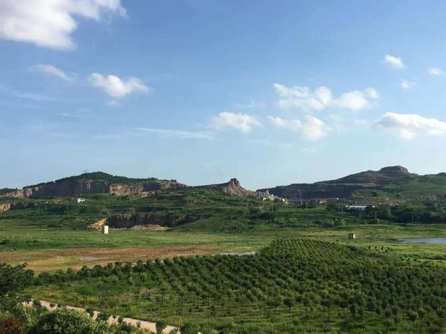 浙江省|3个细节告诉你，蚌埠涉黑团伙“刘氏兄弟”覆灭后发生了哪些变化？