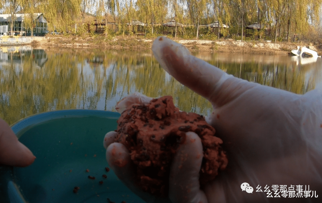 |“肉夹馍”有点强，大鲫大鲤连竿忙！还有鲈鱼和白鲢，入冬也钓爽