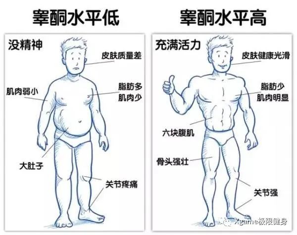 【睡眠】男人为什么会越练越虚？该怎么补起来？