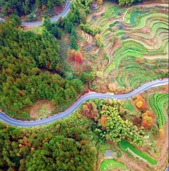 徽州|徽州最美乡村公路，秋色颜值爆表，不来打卡吗!