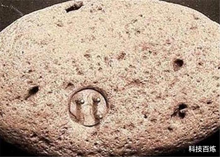 『科学家』科学家发现来自10万年前的“三相插头”，史前文明不是说说而已！