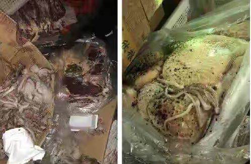 话晴空|云南某中学被曝给学生吃剩饭烂菜：家长包围县长讨说法，食堂人员却怼工商局