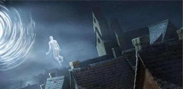 #大熊猫#科学发现: 人不会真正死亡