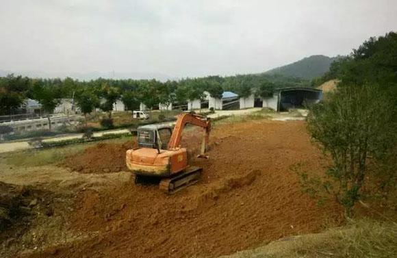 晒晒大老板的乡下别墅, 放着城里几套豪宅不住, 独爱农家小院