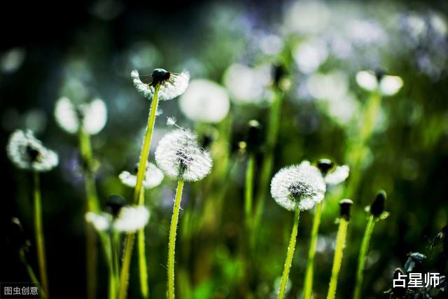 「水瓶座」（周运）劳伦_4月24日至5月1日星座运势：万物复苏