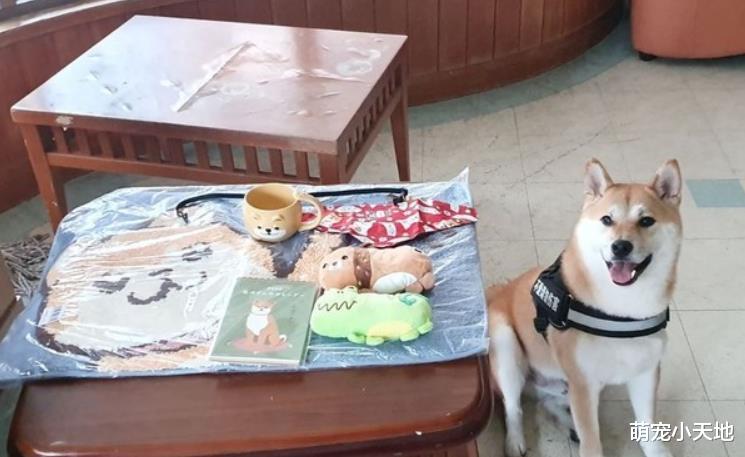 贴心柴坚持陪夜归姐姐等车！爸吐槽：专门喜欢漂亮女生