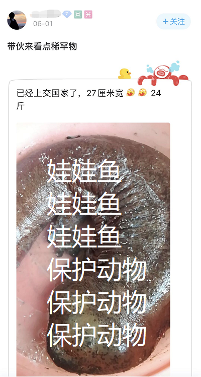 港珠澳大桥|港珠澳大桥上钓鱼？钓鱼佬的沙雕，你根本想象不到