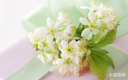 旧爱|10月能顺利转运，一顺到底，事业更是升职加薪的三个生肖