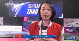 陆幽|央视女记者陆幽，被名嘴黄健翔爆出与国足外籍主帅宫外孕，败诉印证事实？