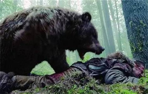艾米|他和熊亲密生活11年，却被熊活活吞掉，生前六分钟录音至今遭禁播