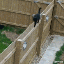 「」今天玩泥巴捡到的，请问什什么表，值钱吗？网友的回答是不是逗我哈！