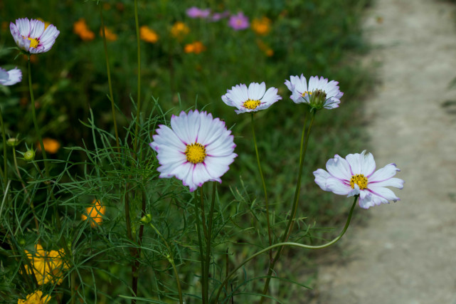 旧爱|对前任执念很深的星座，难忘旧情，迟迟不愿醒来，过不去从前的坎